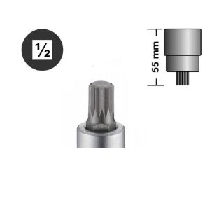 Rico 1/2 M16 Lokmalı M Diş Yıldız Lokma Bits Torx Kısa - 007-RC5516 Rico 1/2 M16 Lokmalı M Diş Yıldız Lokma Bits Torx Kısa - 007-RC5516